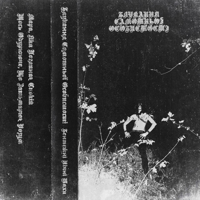 Cover art for Блукання Самотньої Особистості — Бентежні Нічні Жахи