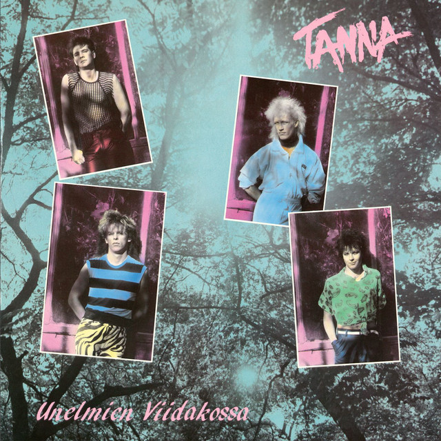 Unelmien viidakossa cover art