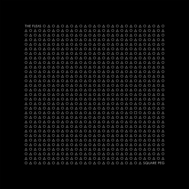 Square Peg cover