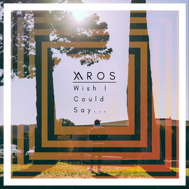 Wish I Could Say... cover