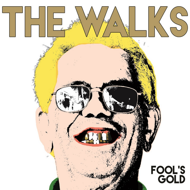 Fool's Gold cover art