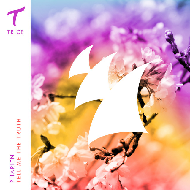 Tell Me The Truth - Extended Mix album art