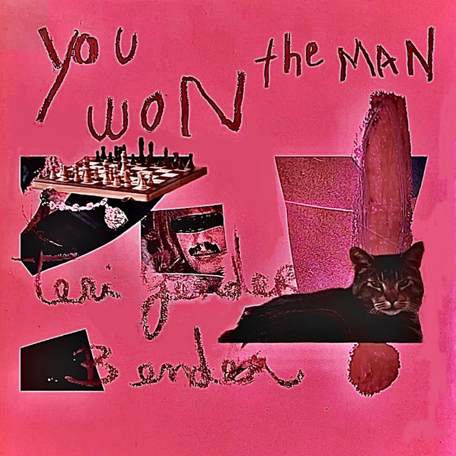 Cover du titre You Won The Man