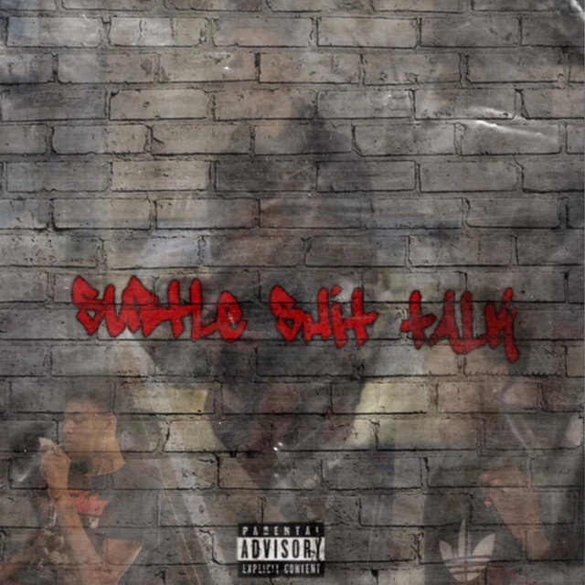 Subtle Shit Talk cover art
