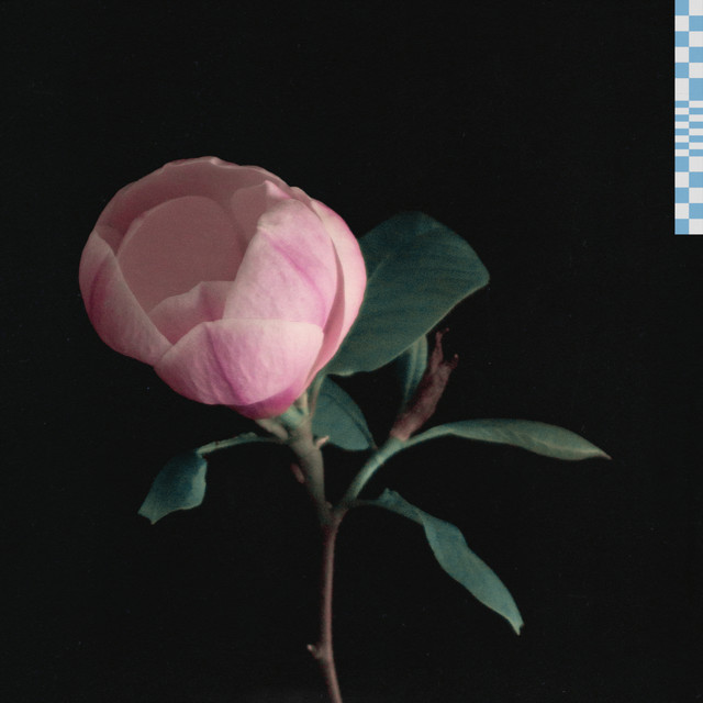 for life cover art
