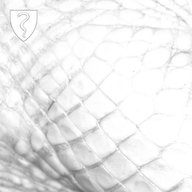 YEAR OF THE SNAKE cover art