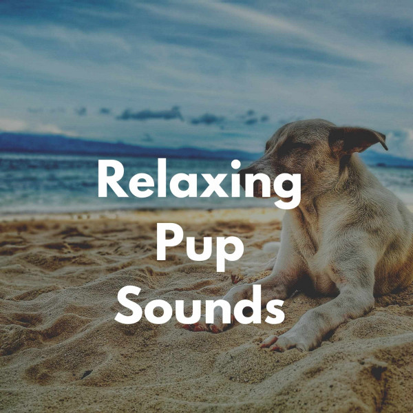 Relaxing Pup Sounds cover art