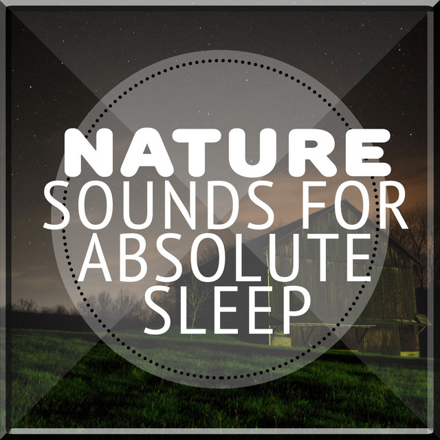 Nature Sounds for Absolute Sleep cover art