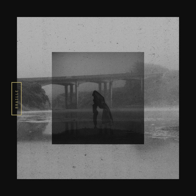 Mute Swan cover art