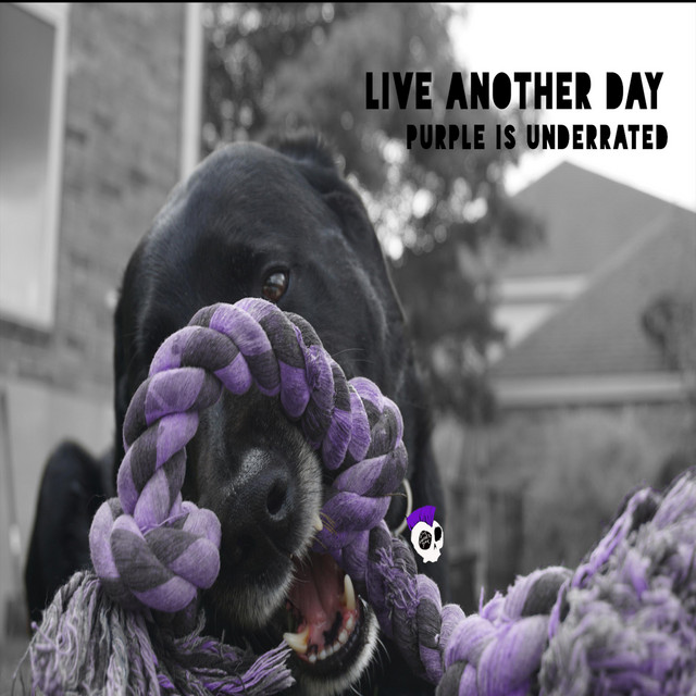 Purple Is Underrated cover art