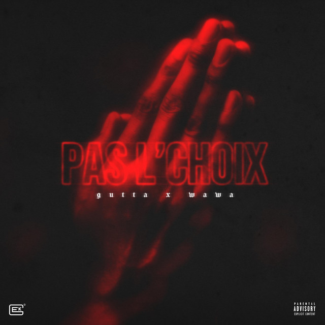 Pas l'choix cover art