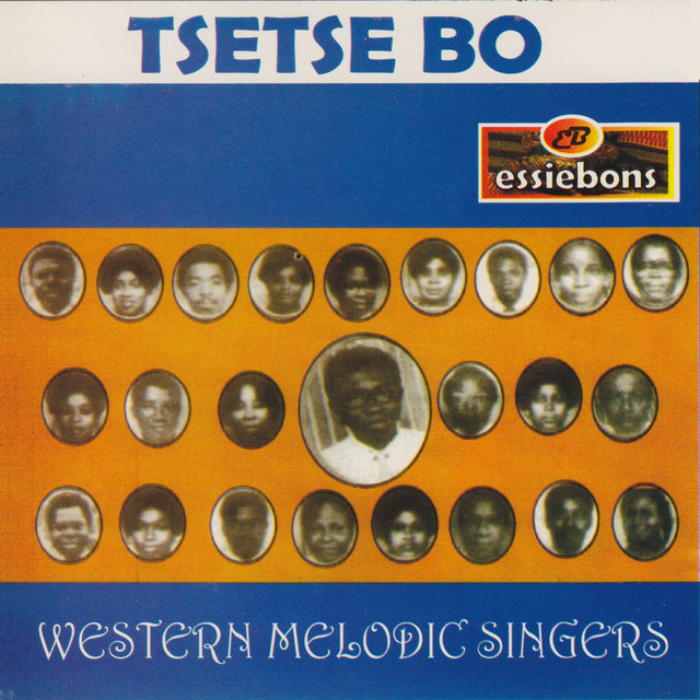Tsetse Bo