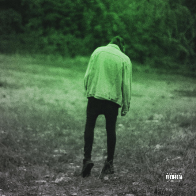 totem cover art