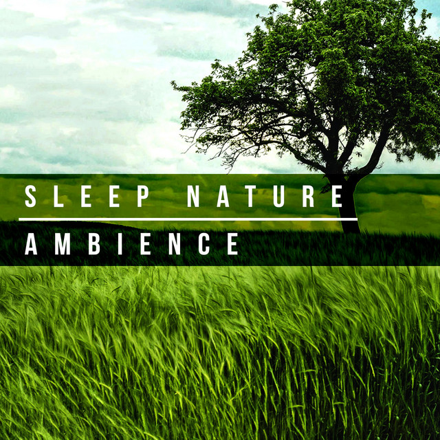 Sleep Nature Ambience ! ! ! ! - Album by Deep Sleep Nature Sounds | Spotify