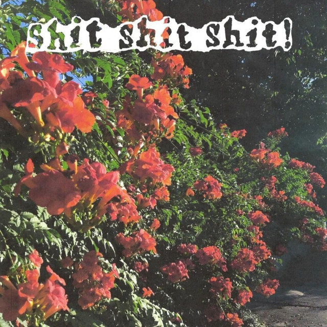 ACIDSUN cover art