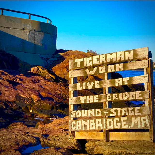 Live at The Bridge Sound & Stage, Cambridge, MA cover