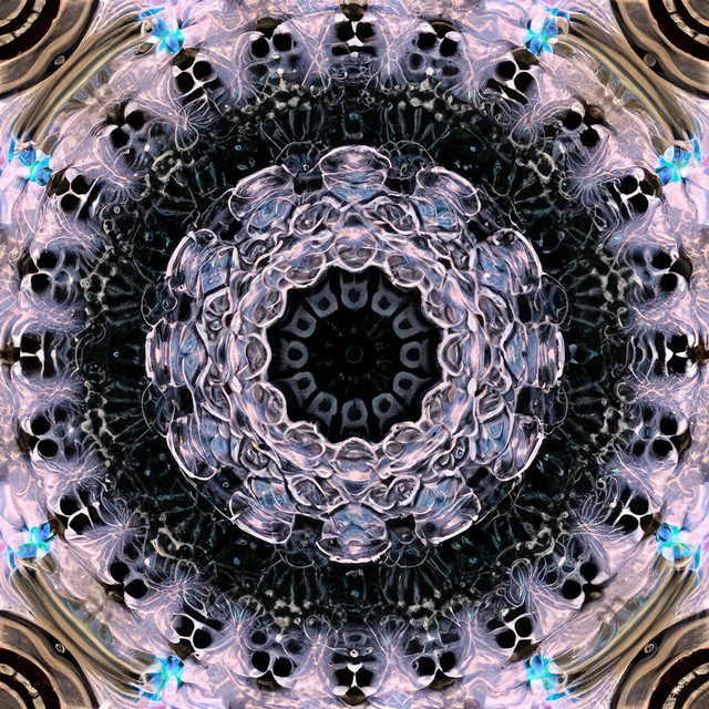 Forgive To Be Free cover art