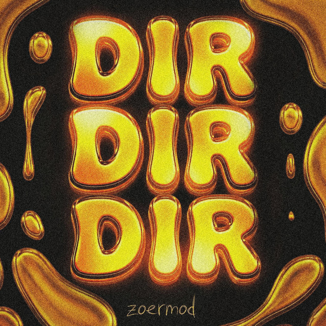 DIR DIR DIR cover art