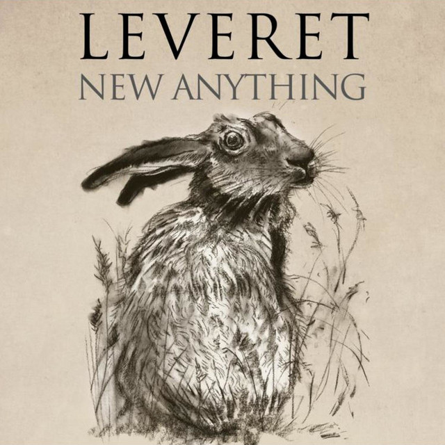 New Anything cover art
