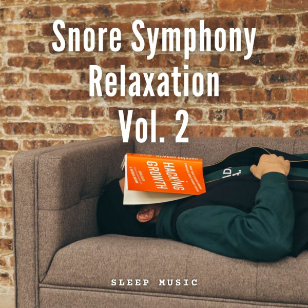 Sleep Music: Snore Symphony Relaxation Vol. 2 cover art
