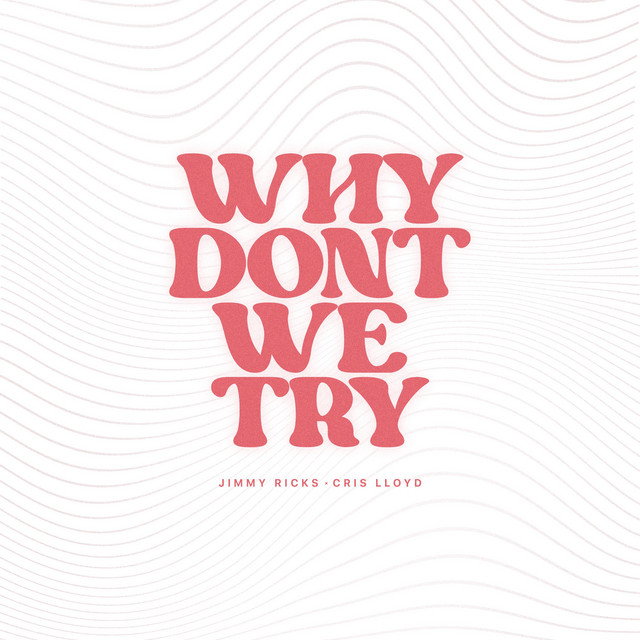 why dont we try cover art