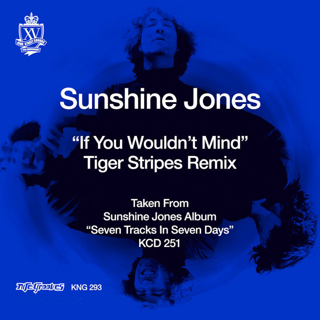 If You Wouldn't Mind - Tiger Stripes Remix