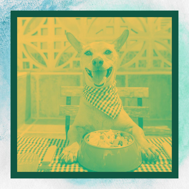 Echoes of Restful Doggie cover art