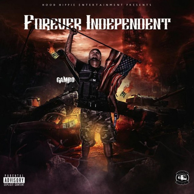 Anybody cover art