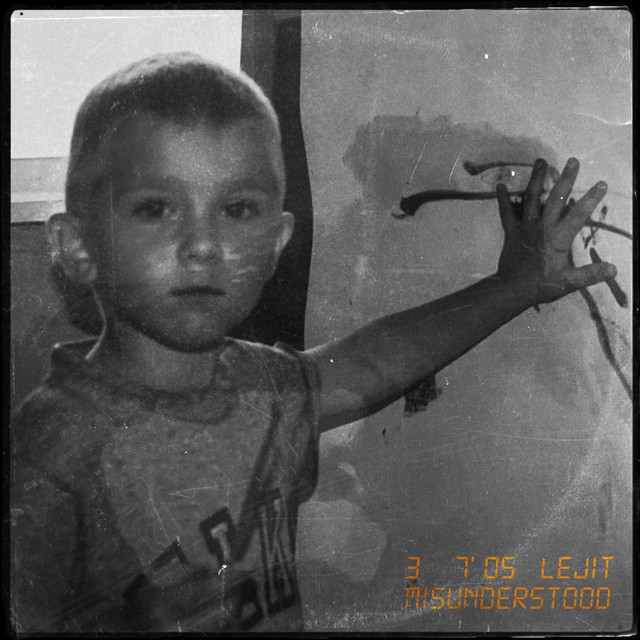 Misunderstood cover art
