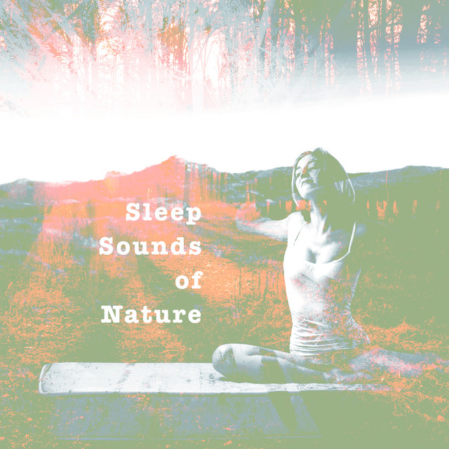 Sleep Sounds of Nature - Album by Sleep Sounds of Nature | Spotify