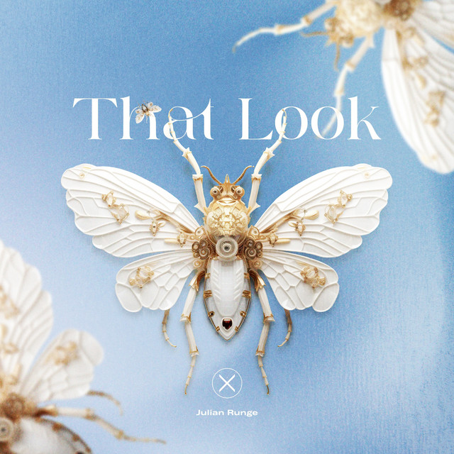 Pochette du titre That Look
