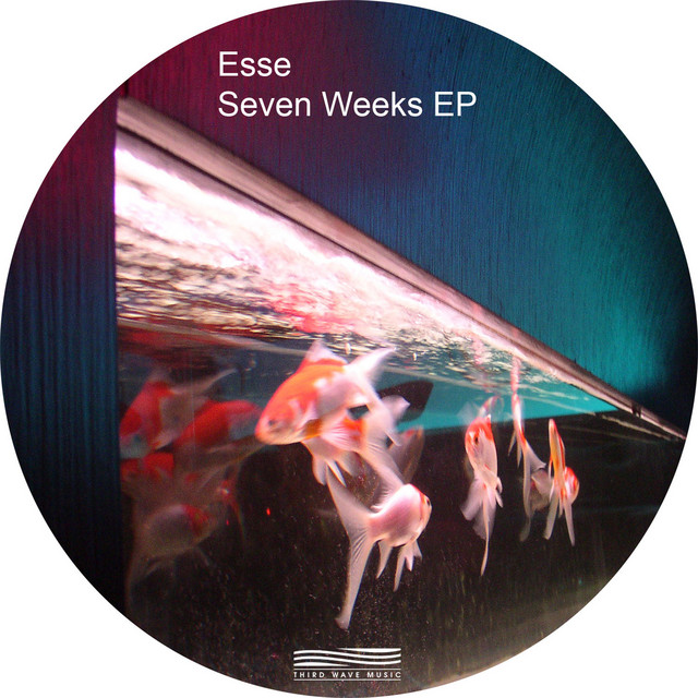 Seven Weeks cover art