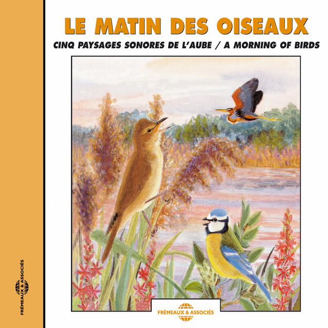 A Morning Of Birds cover art