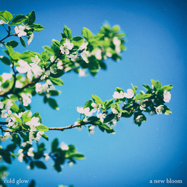 a new bloom cover