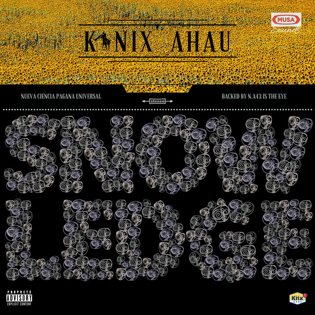 Snowledge cover art