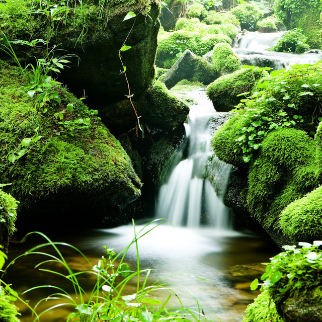 Stream of Tranquility: Water's Harmonious Voices cover art