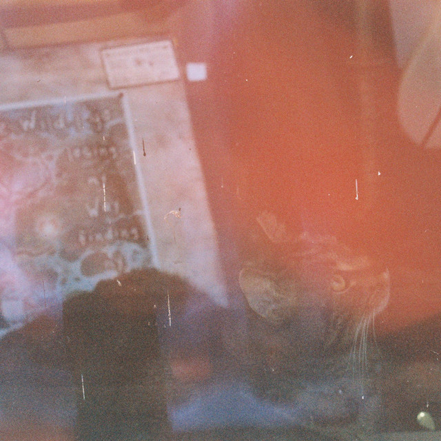 Past Portrait cover art