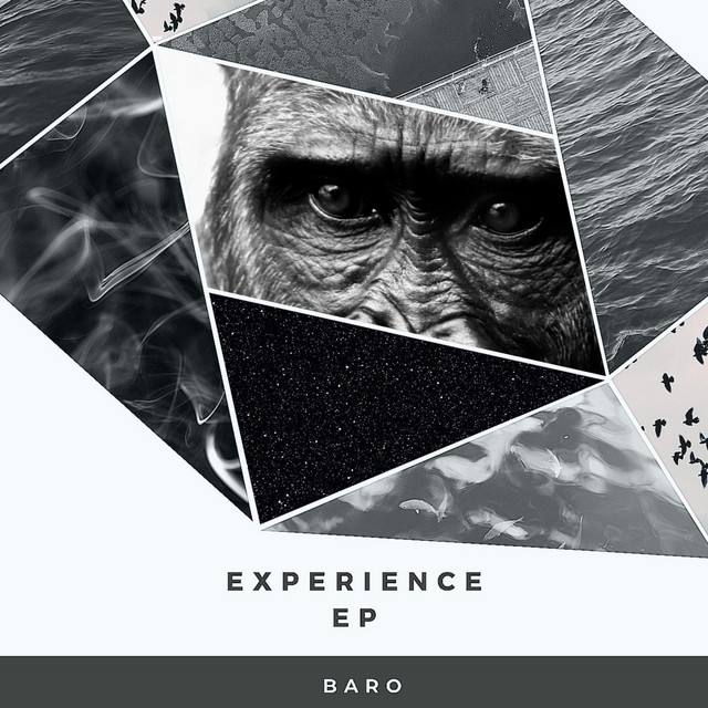 Experience cover art