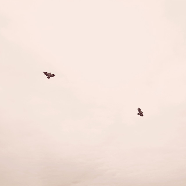 인공위성 cover