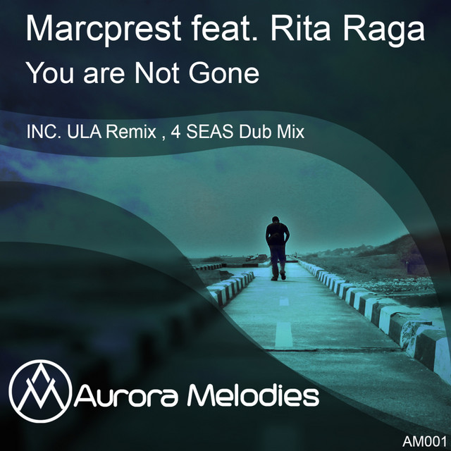 You´re Not Gone - Original Mix cover art