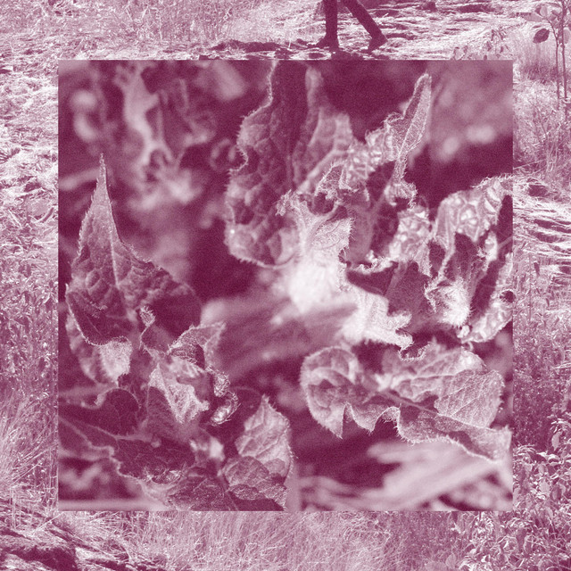 Tempestad cover art