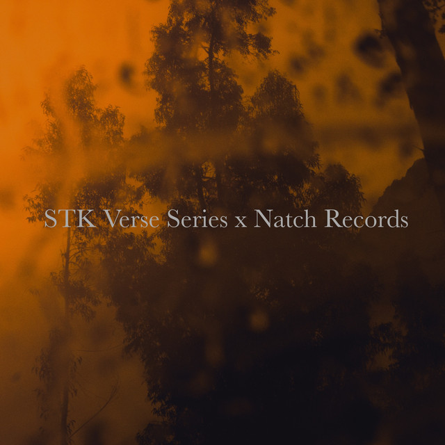 STK Verse Series I-II-II cover art