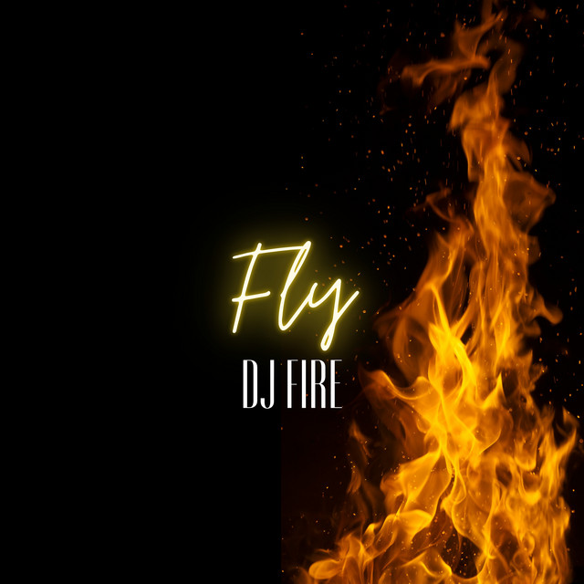 Fly cover art