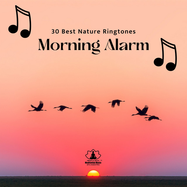 30 Best Nature Ringtones:Morning Alarm with Ocean Waves, Rain & Birds cover art