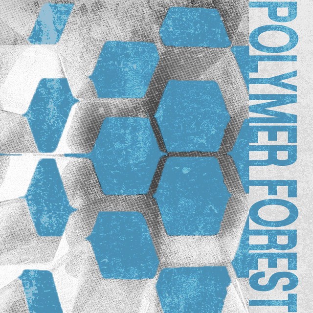 Polymer Forest cover art