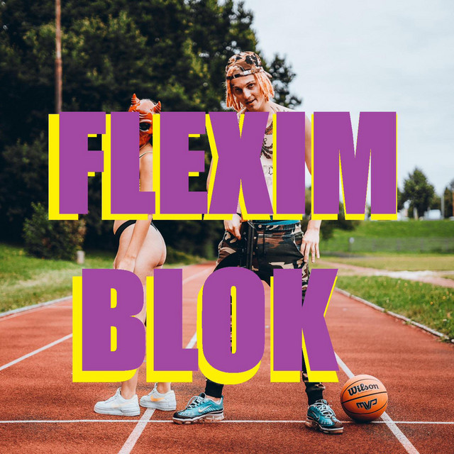 FLEXIM BLOK cover art