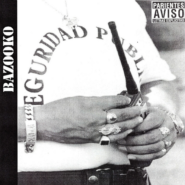 Seguridad Pública cover art