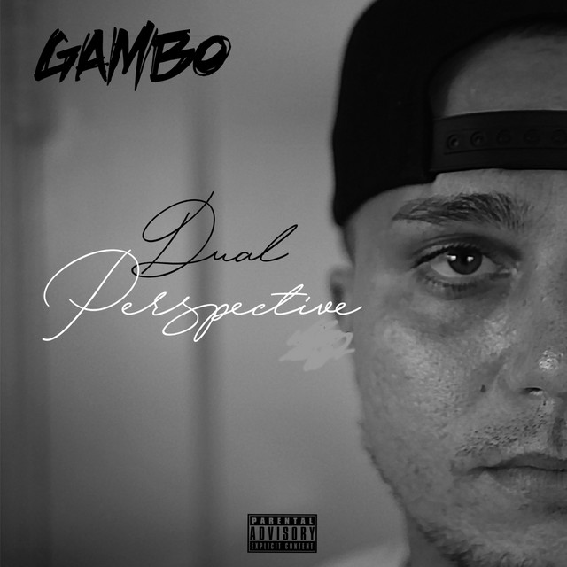 Dual Perspective cover art