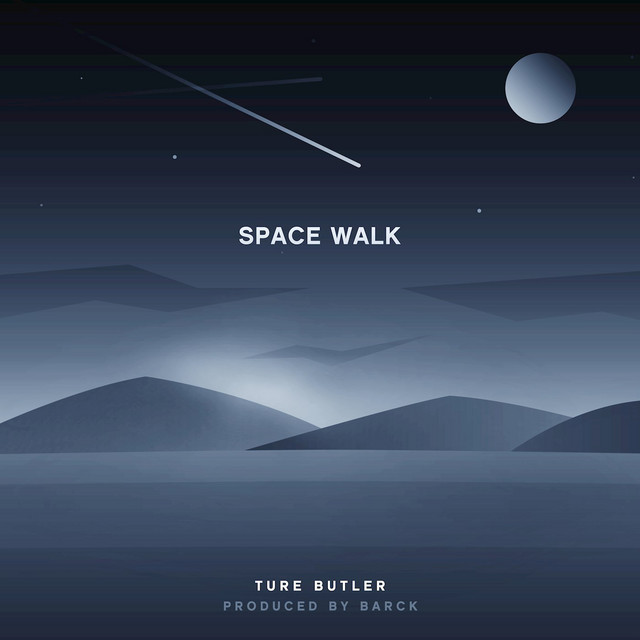 Space Walk cover