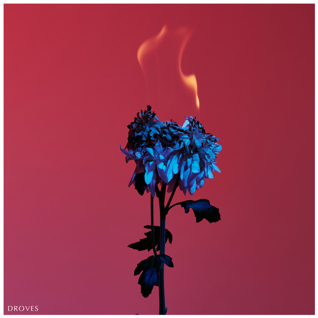 DROVES cover art